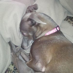 Meet your Posher, Jann